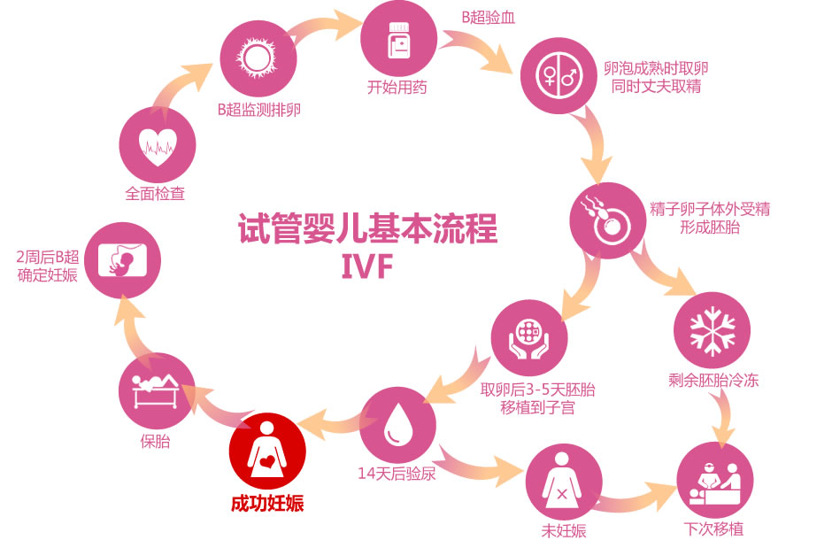 52岁女性闭经状态下试管婴儿临床案例分析